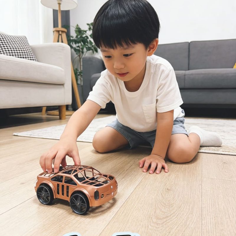 2.4G RC Toy Flying Car 2-in-1 Regular Version